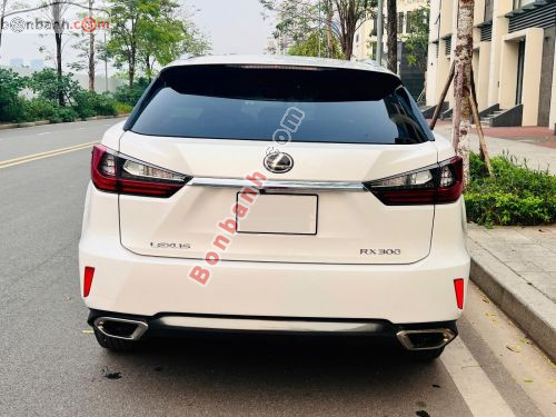 Lexus RX 300 2019 - ảnh 5