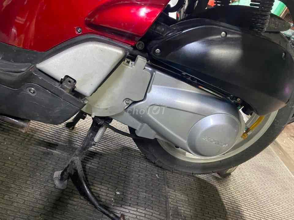 sh 2008 - ảnh 2