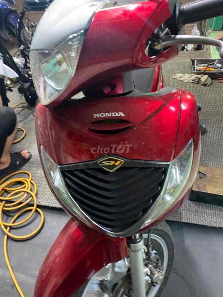 sh 2008 - ảnh 3