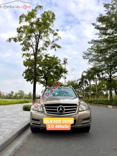 Mercedes-Benz 2010 - ảnh 1