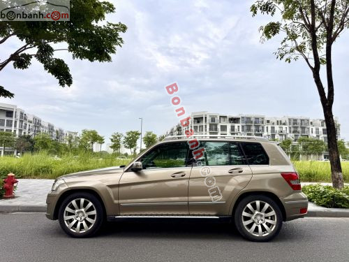 Mercedes-Benz 2010 - ảnh 3