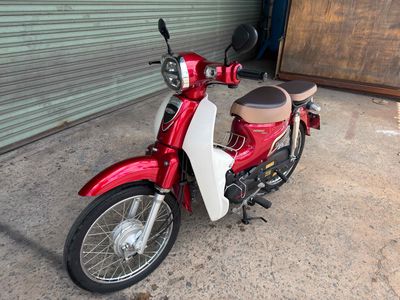 Siêu Cub 2024 - ảnh 1