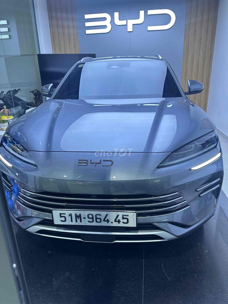 BYD - ảnh 1