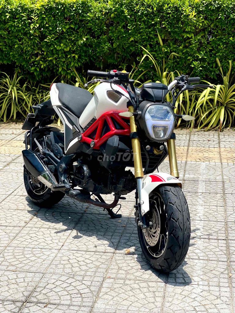 Ducati Mini 2019 - ảnh 1