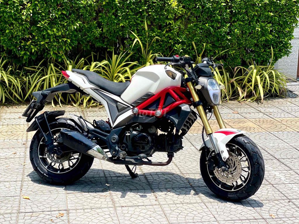 Ducati Mini 2019 - ảnh 2