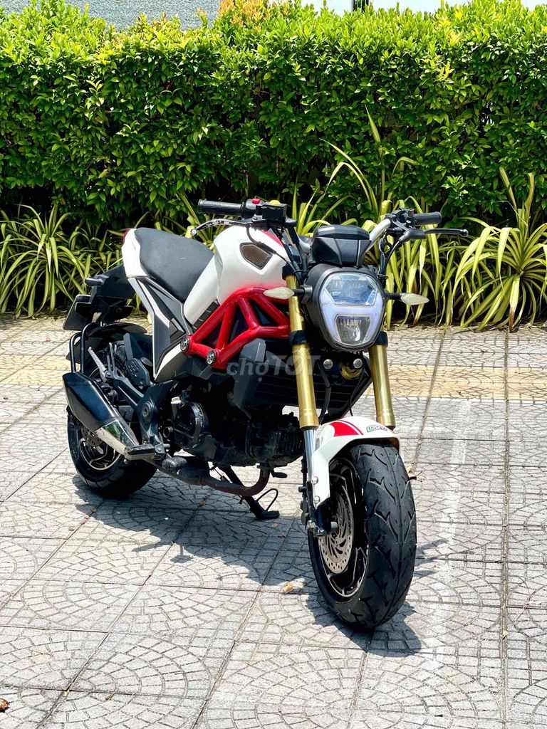 Ducati Mini 2019 - ảnh 3