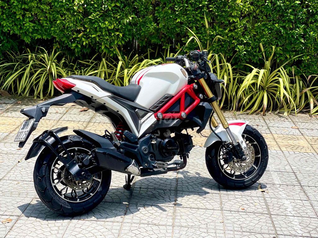Ducati Mini 2019 - ảnh 4