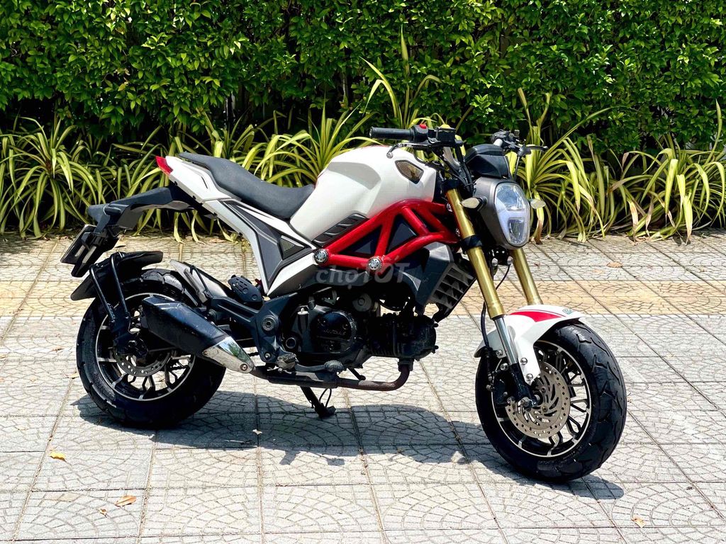 Ducati Mini 2019 - ảnh 5