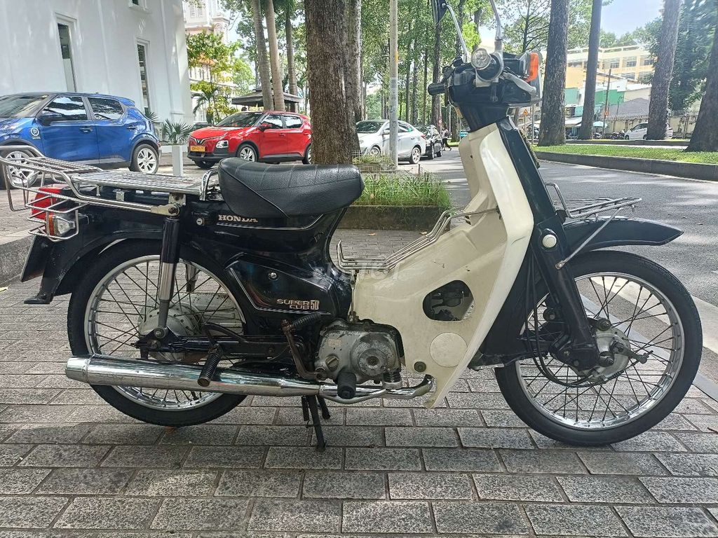 Cub n 1989 - ảnh 2