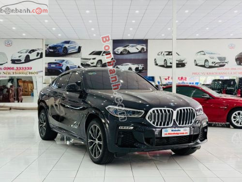 BMW X6 xDrive40i M Sport 2019 - ảnh 3