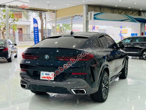 BMW X6 xDrive40i M Sport 2019 - ảnh 5