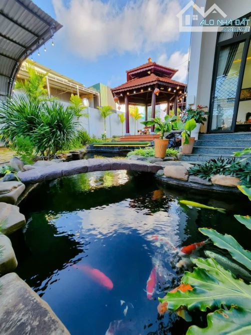 Bất động sản tại Đắk Lắk - ảnh 1