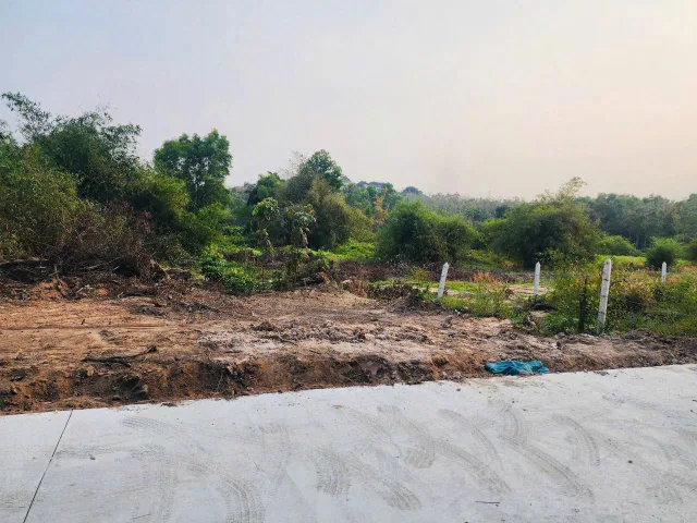 Bất động sản tại Bình Dương - ảnh 1