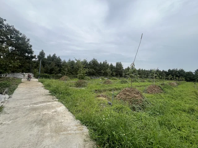 Bất động sản tại Tiền Giang - ảnh 1