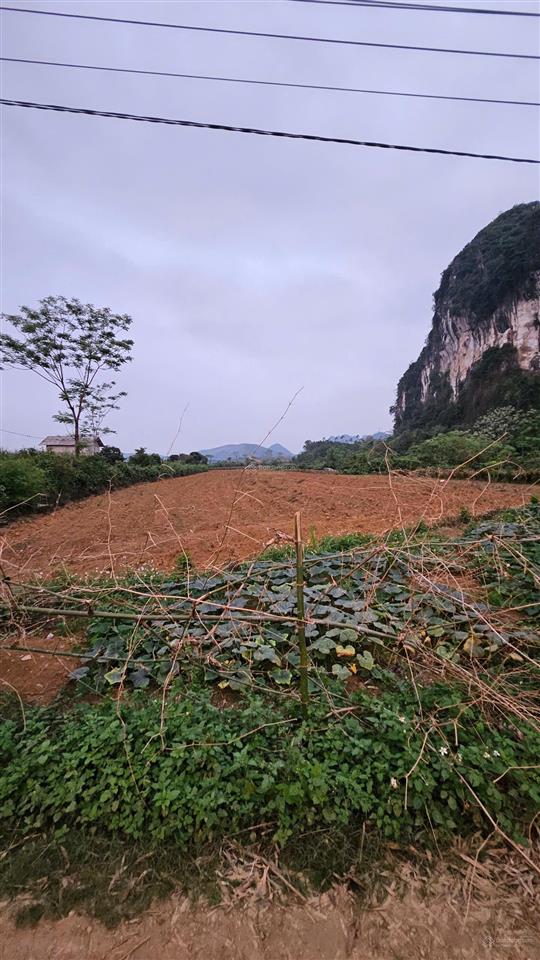 Bất động sản tại Hòa Bình - ảnh 1