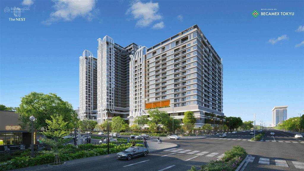 Bất động sản tại Bình Dương - ảnh 1