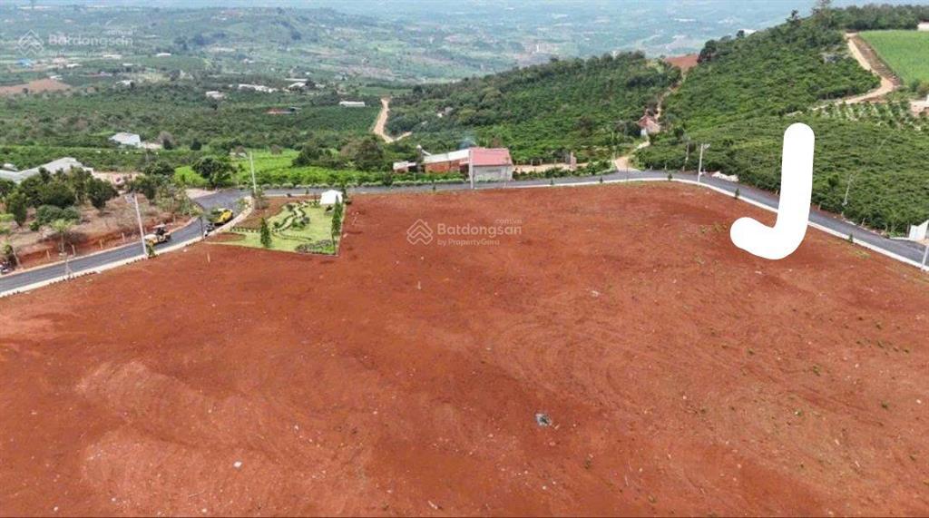 Bất động sản tại Lâm Đồng - ảnh 1