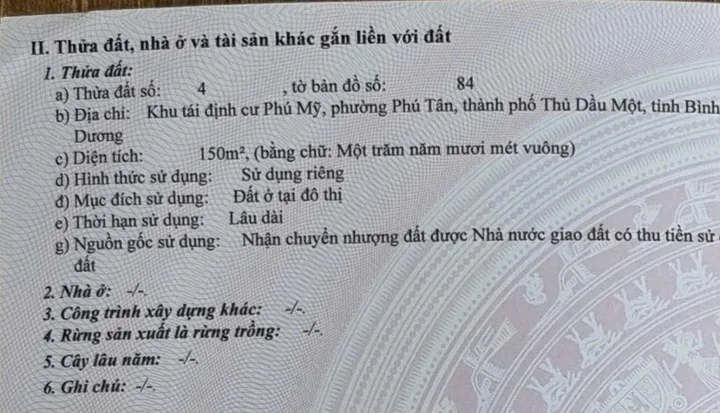 Bất động sản tại Bình Dương - ảnh 1
