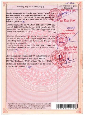 Bất động sản tại Lâm Đồng - ảnh 1