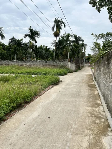 Bất động sản tại Hải Phòng - ảnh 1