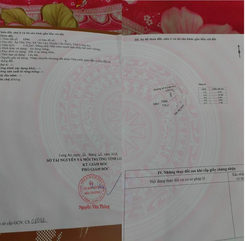 Bất động sản tại Long An - ảnh 1