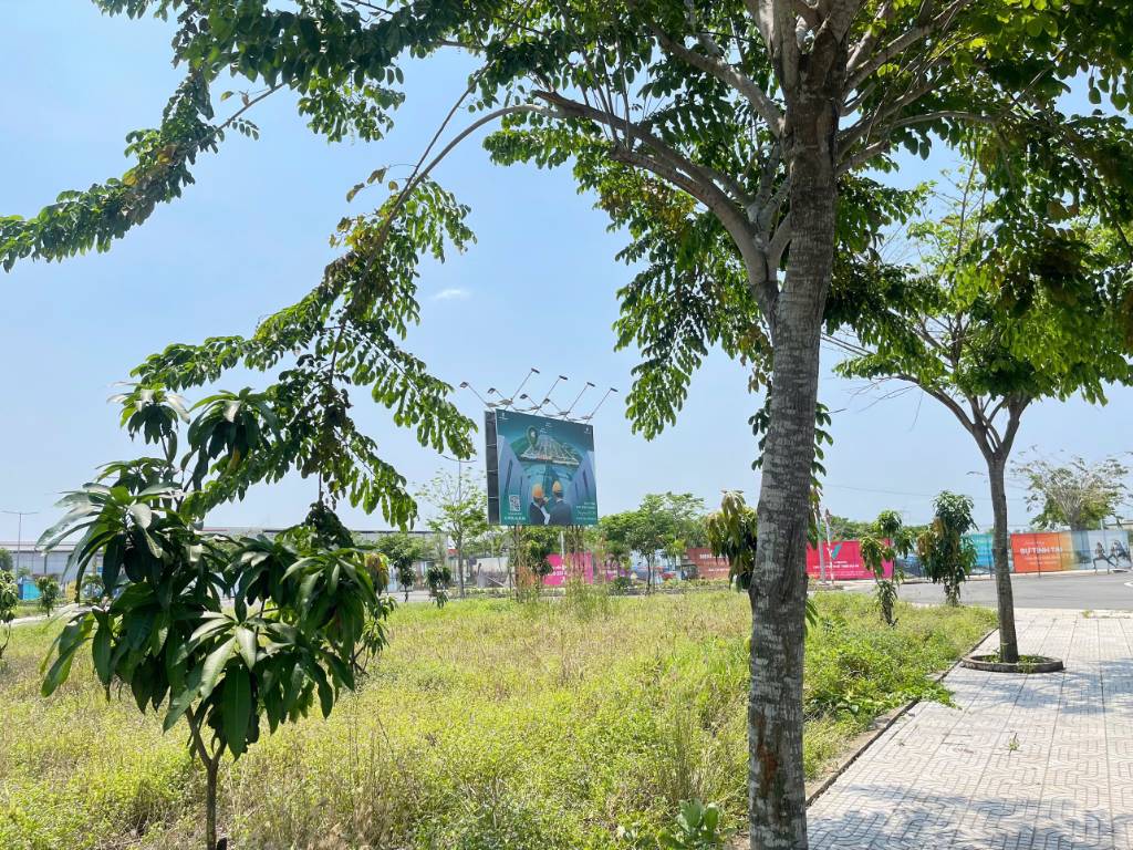 Bất động sản tại Long An - ảnh 1