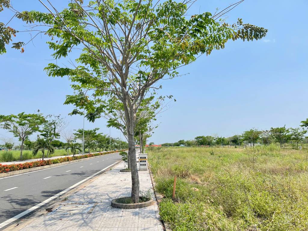 Bất động sản tại Long An - ảnh 1