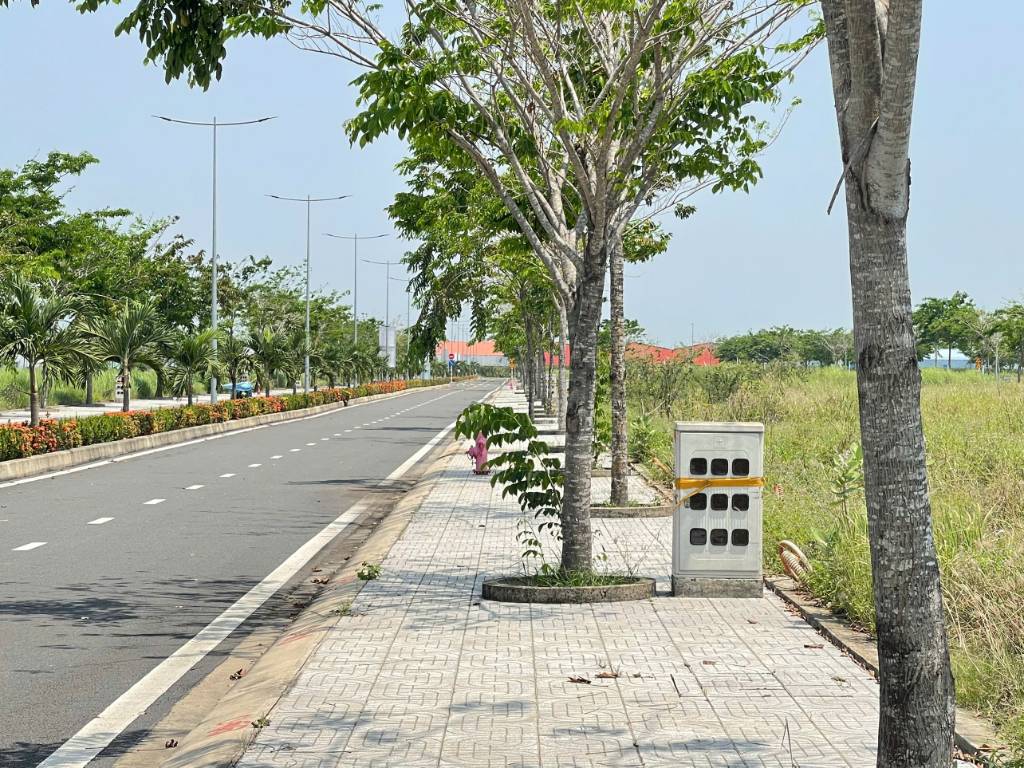 Bất động sản tại Long An - ảnh 1