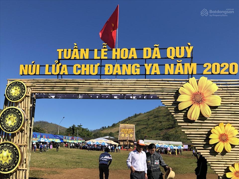 Bất động sản tại Gia Lai - ảnh 1