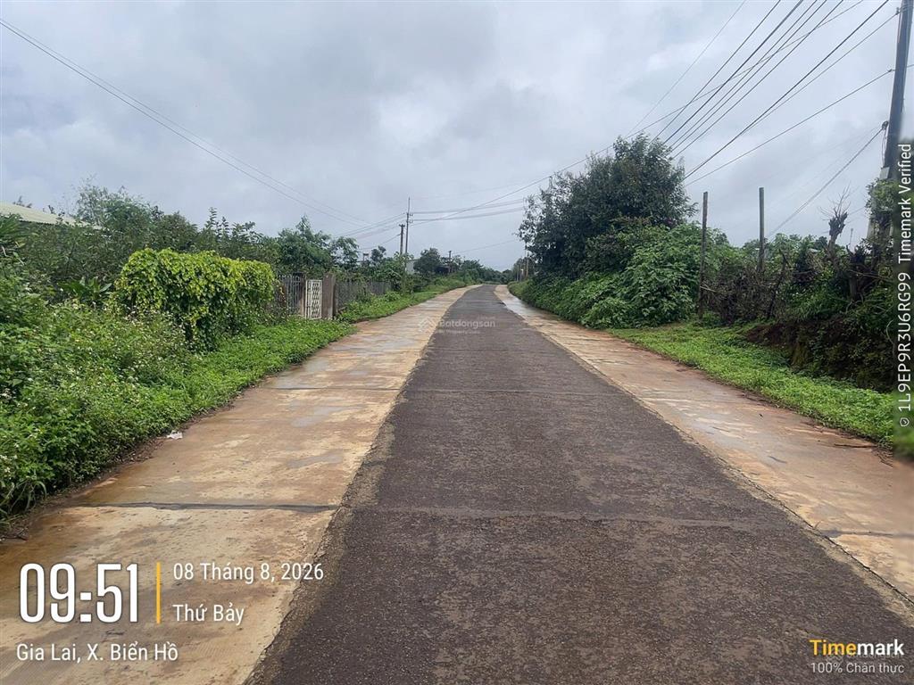 Bất động sản tại Gia Lai - ảnh 1