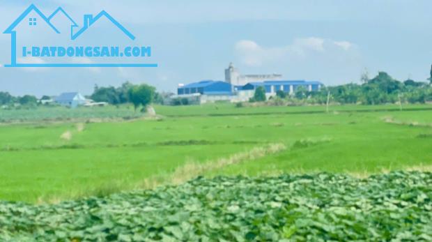 Bất động sản tại Bà Rịa - Vũng Tàu - ảnh 1