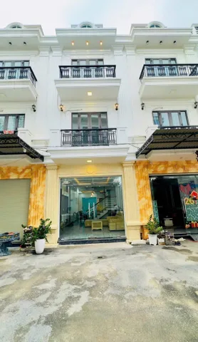 Bất động sản tại Bình Dương - ảnh 1
