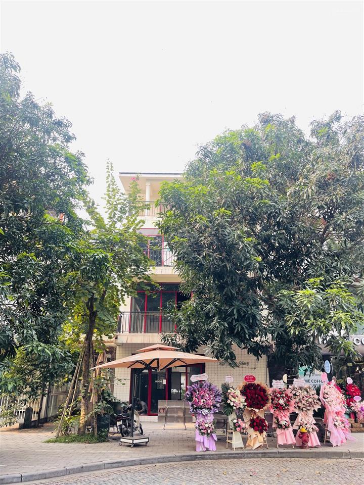 Bất động sản tại Hưng Yên - ảnh 1
