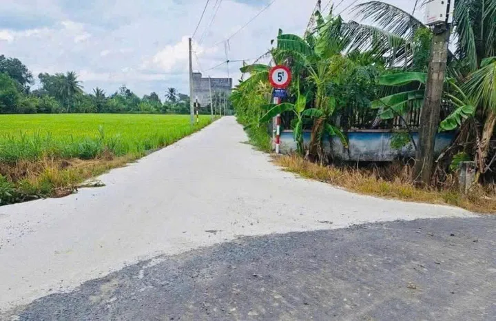 Bất động sản tại Long An - ảnh 1
