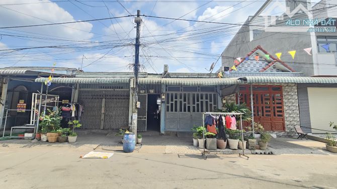 Bất động sản tại Bình Dương - ảnh 1