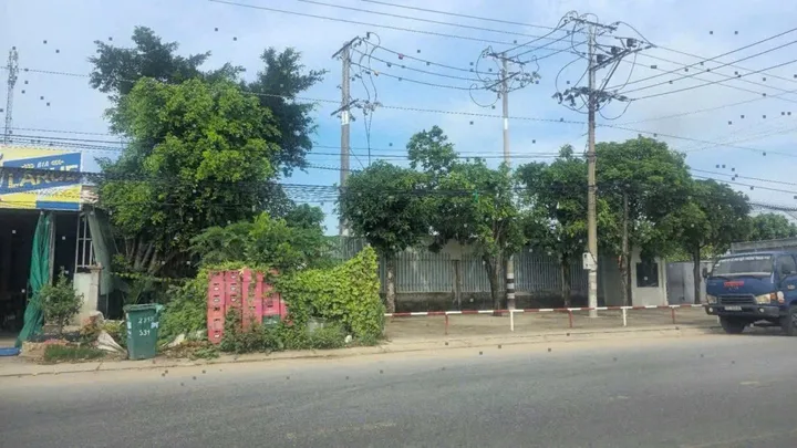 Bất động sản tại Long An - ảnh 1