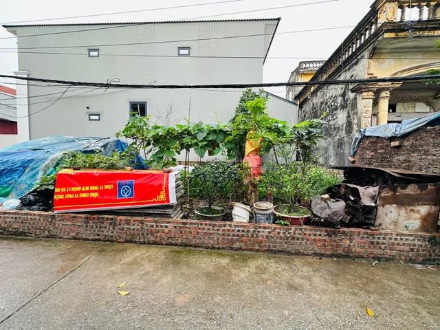 Bất động sản tại Hưng Yên - ảnh 1