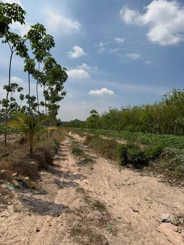 Bất động sản tại Tây Ninh - ảnh 1