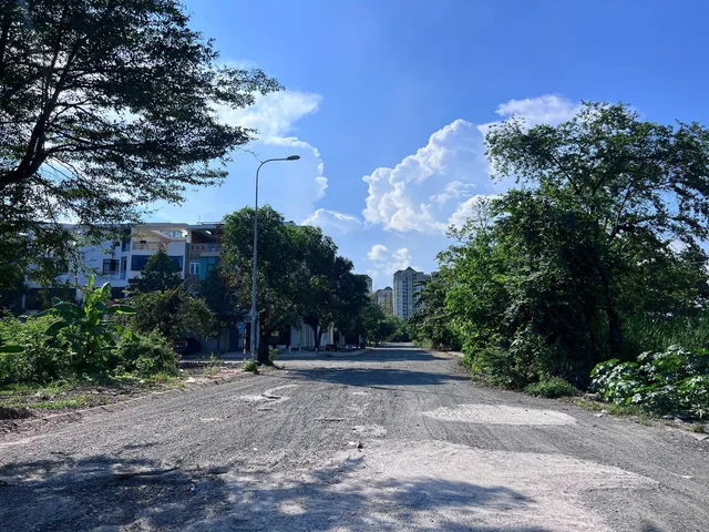 Bất động sản tại TP. Hồ Chí Minh - ảnh 1