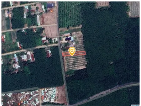 Bất động sản tại Bình Dương - ảnh 1