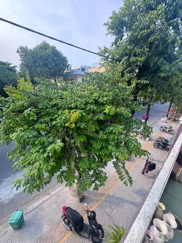 Bất động sản tại Đà Nẵng - ảnh 1