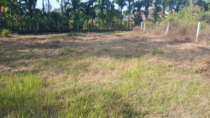 Bất động sản tại Quảng Ngãi - ảnh 1