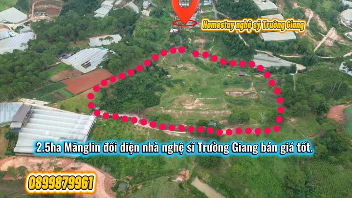 Bất động sản tại Lâm Đồng - ảnh 1