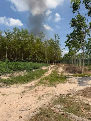 Bất động sản tại Tây Ninh - ảnh 1