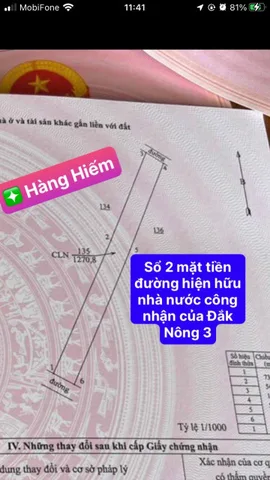 Bất động sản tại Lâm Đồng - ảnh 1