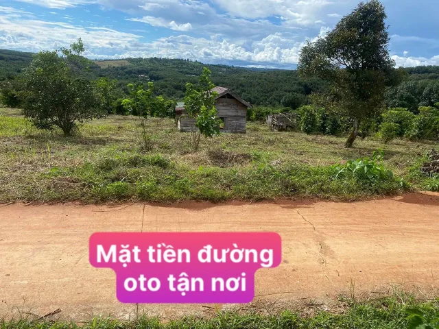 Bất động sản tại Lâm Đồng - ảnh 1