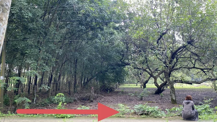 Bất động sản tại Bình Phước - ảnh 1
