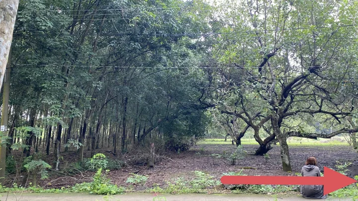 Bất động sản tại Bình Phước - ảnh 1