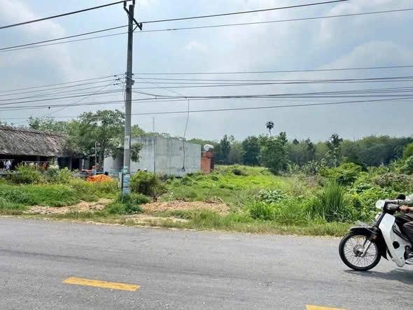 Bất động sản tại Bình Dương - ảnh 1