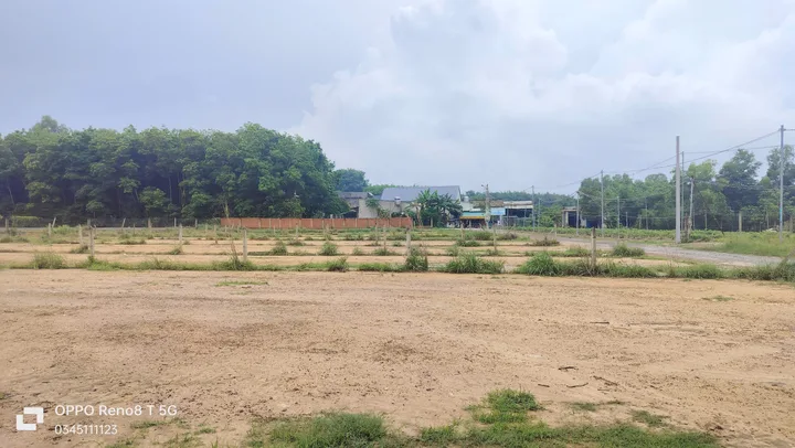 Bất động sản tại Bình Dương - ảnh 1